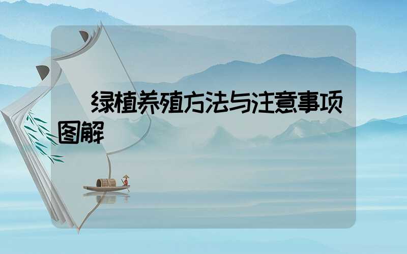  绿植养殖方法与注意事项图解